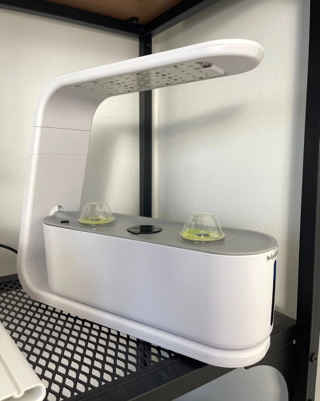 How to Clean an AeroGarden Sprout (Step-by-Step Guide)
