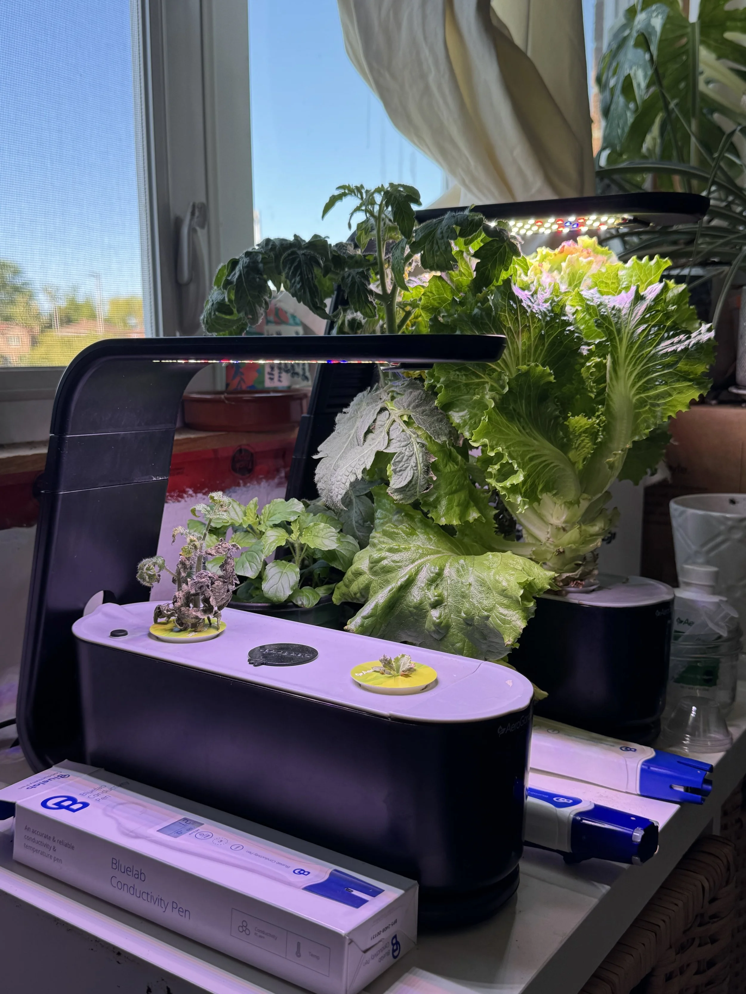 I Tested AeroGarden Nutrients vs Water… and Wow