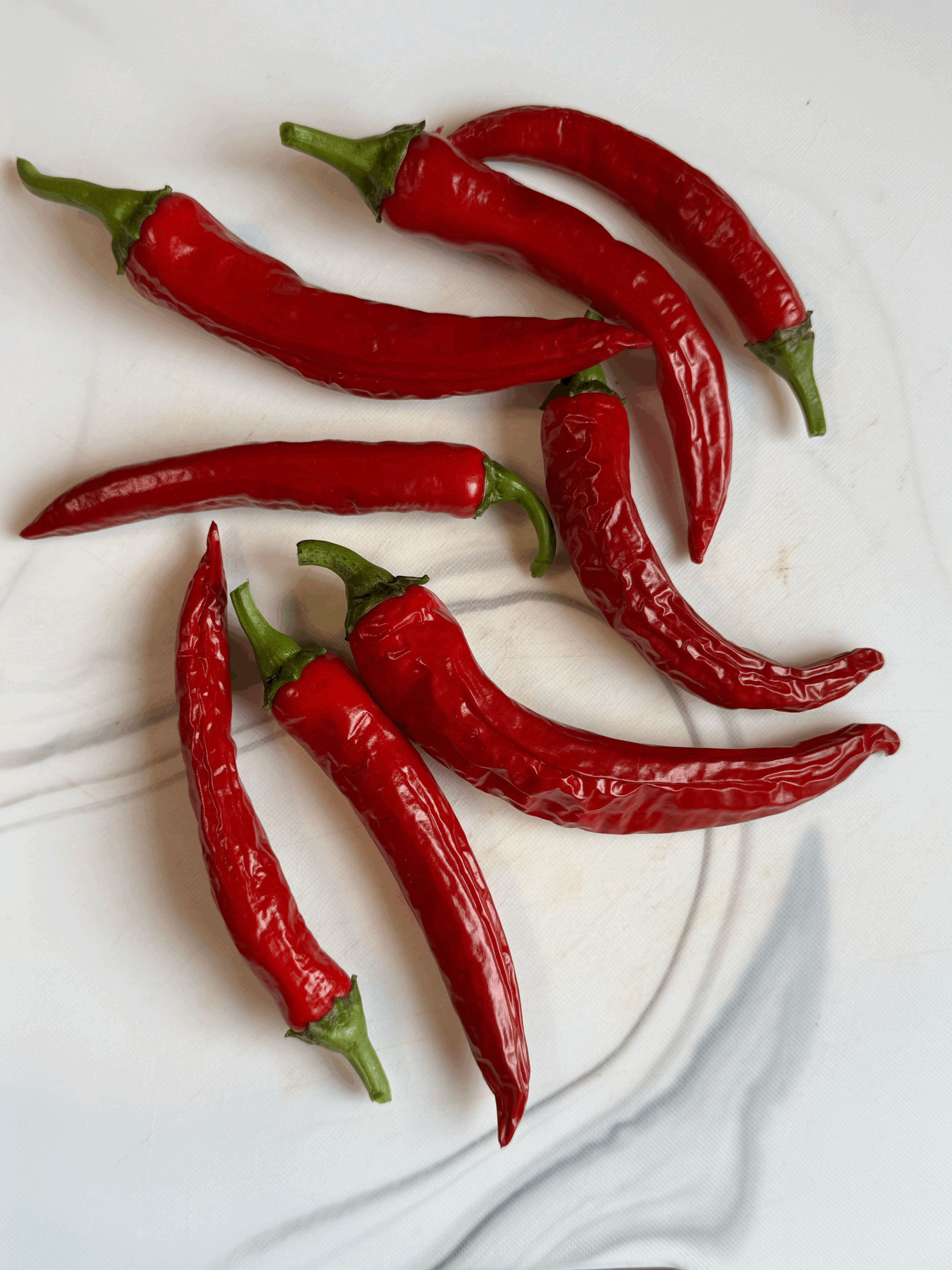 🫑 How to Grow Peppers Hydroponically: The Complete Beginner's Guide