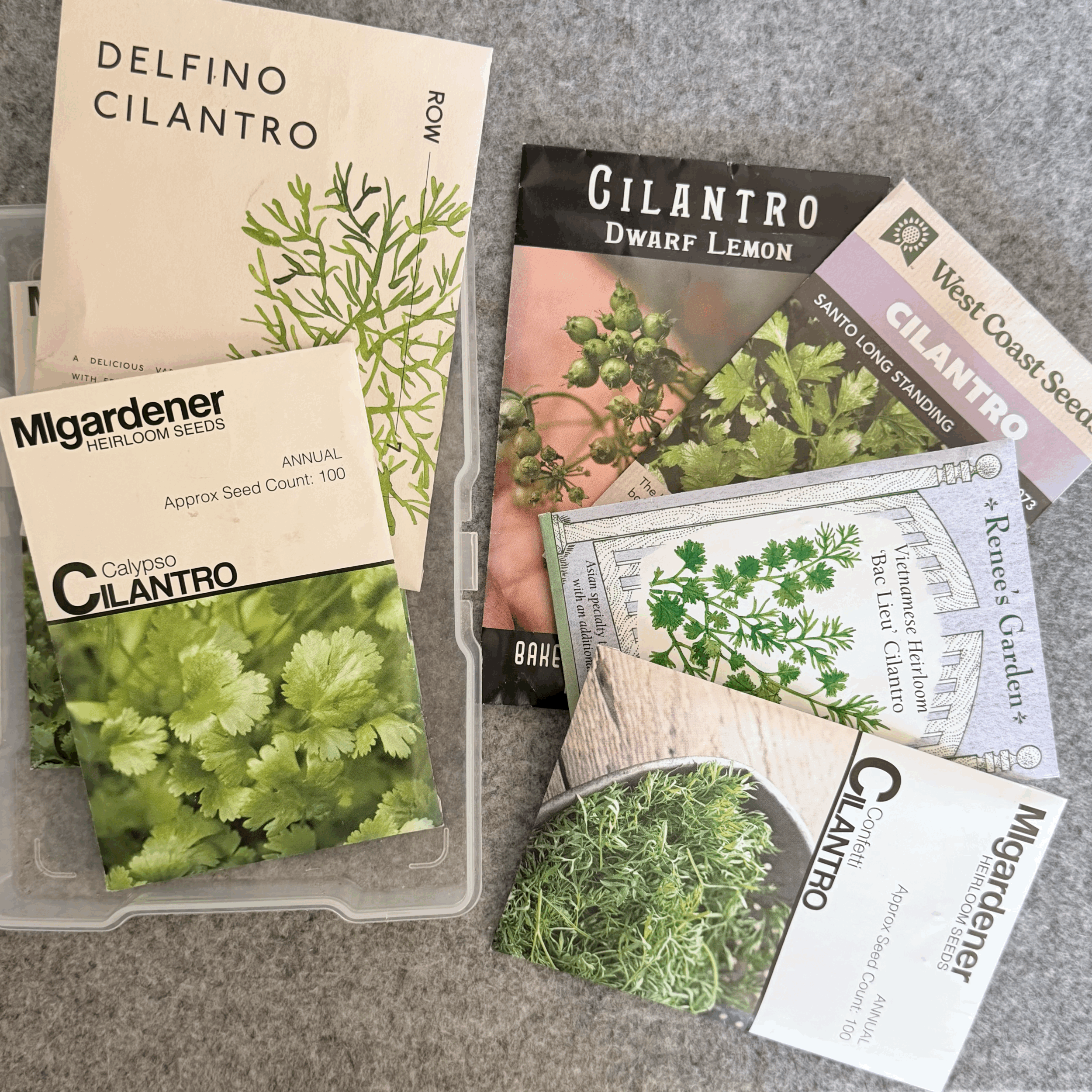 🌿 How to Grow Cilantro Hydroponically: The Complete Beginner's Guide