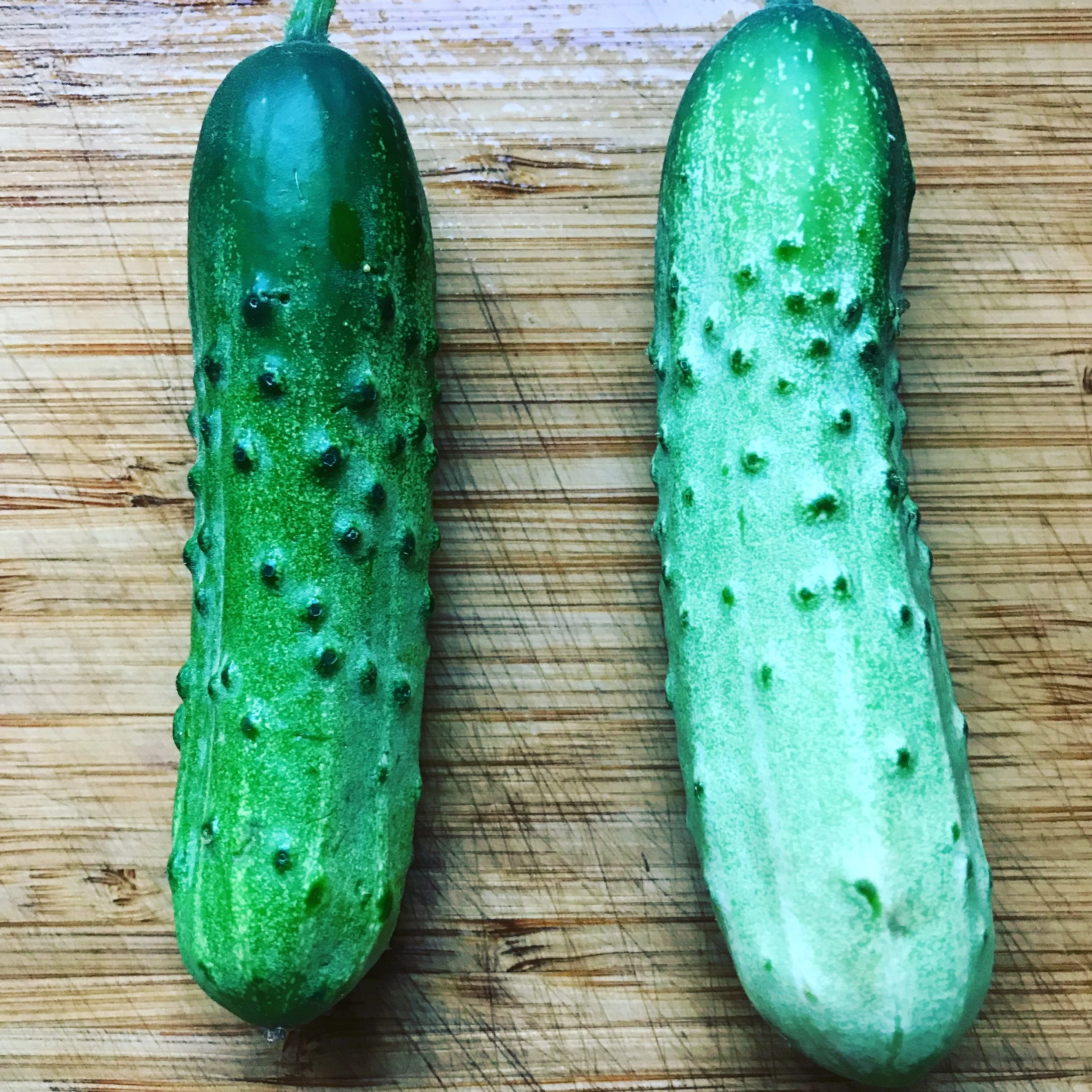 Two green caterpillars with black spots on a wooden surface.