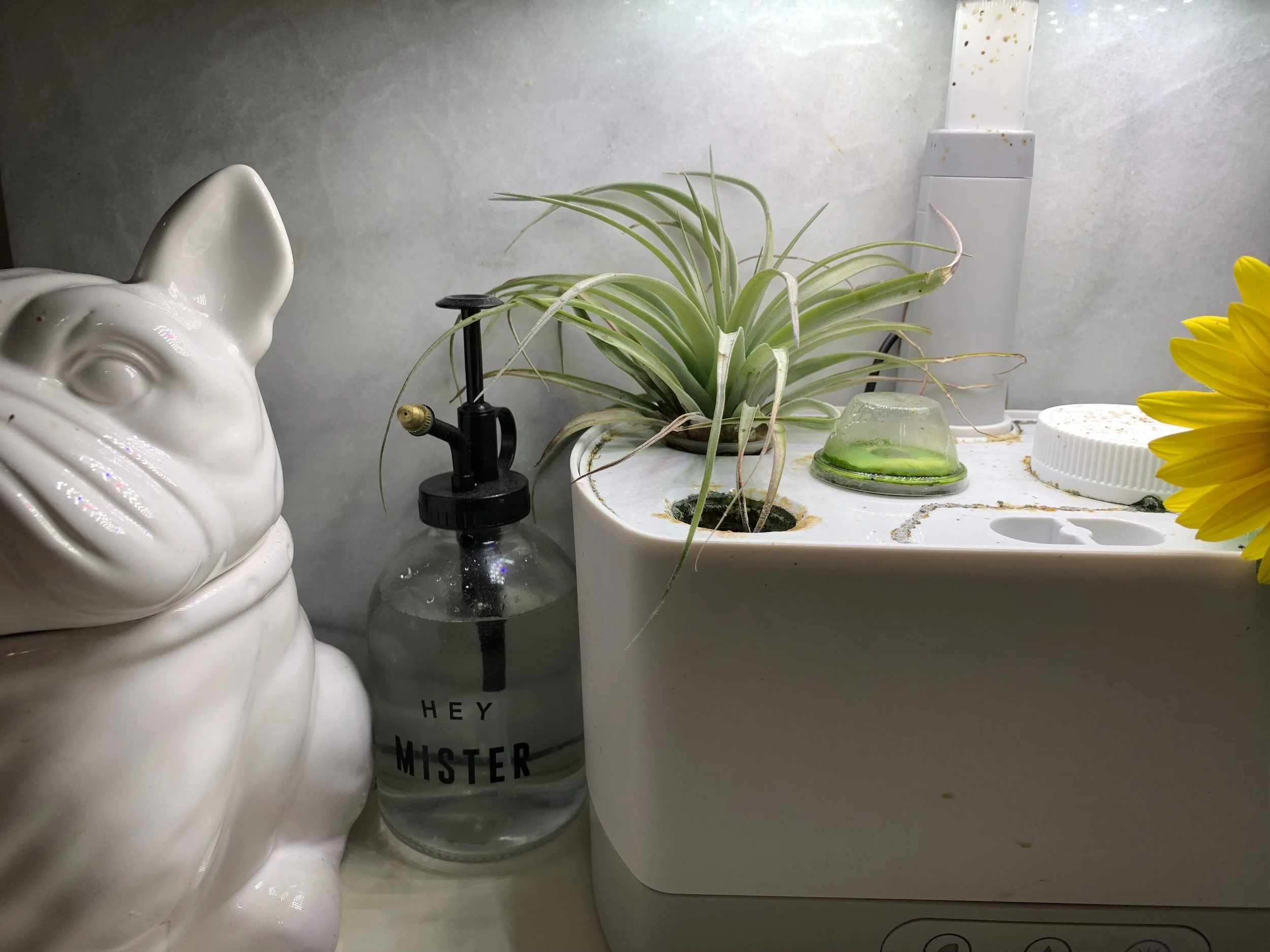A ceramic pig-shaped object on the left, a small plant in a white container, a glass spray bottle, and sunflower flowers on the right.