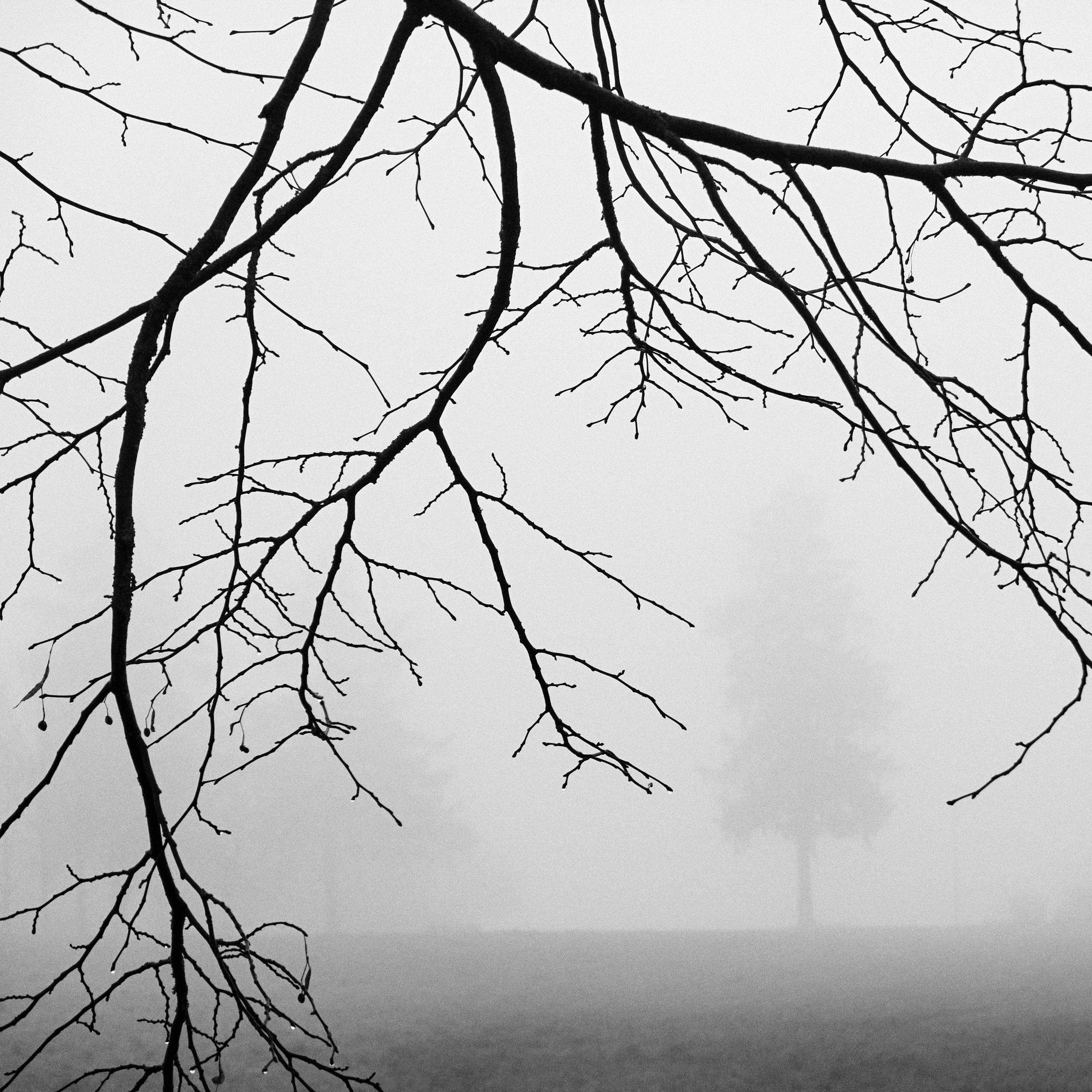 Near the nursing home, Arlon, dec. 2024