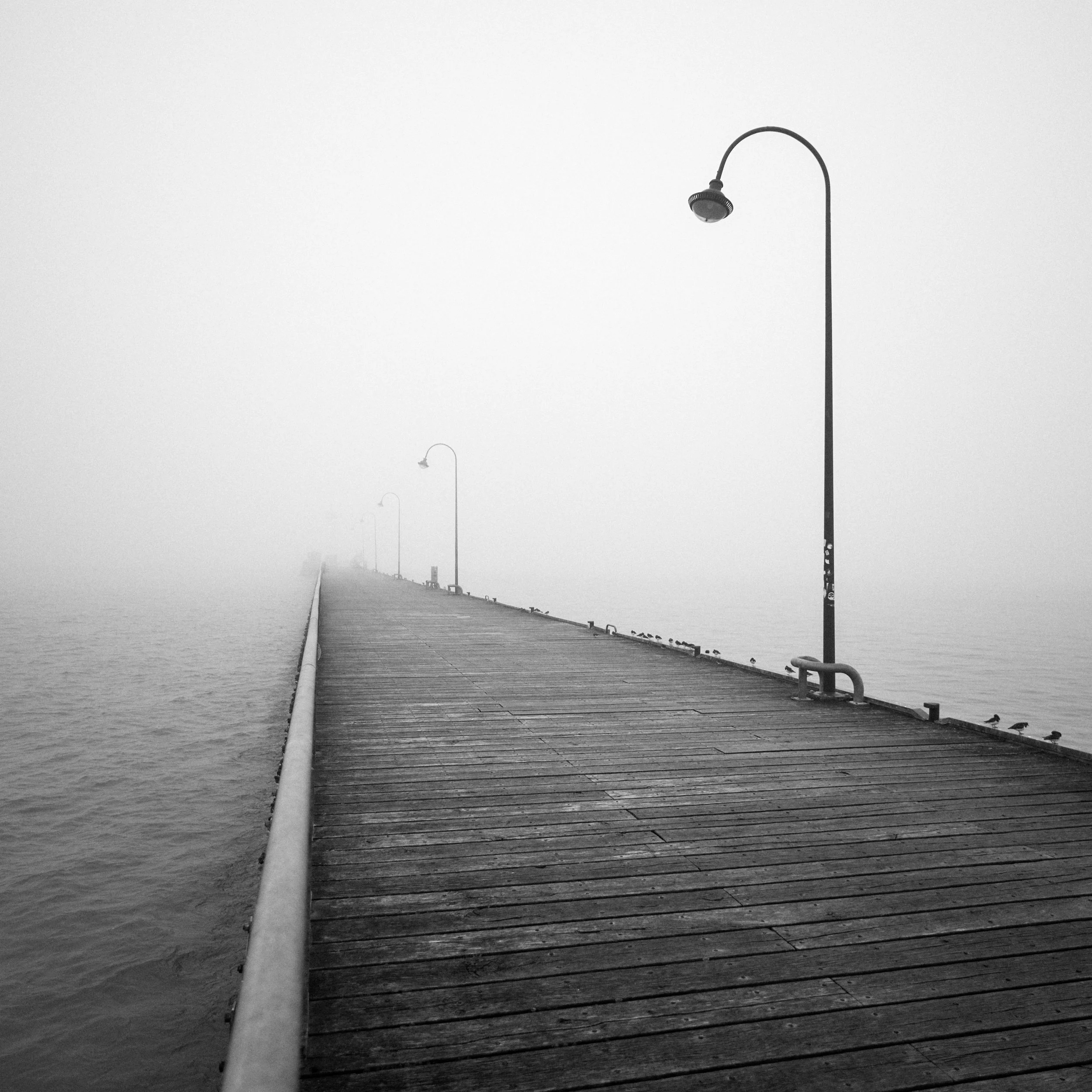 Port de la Houle, Cancale, mar.2026