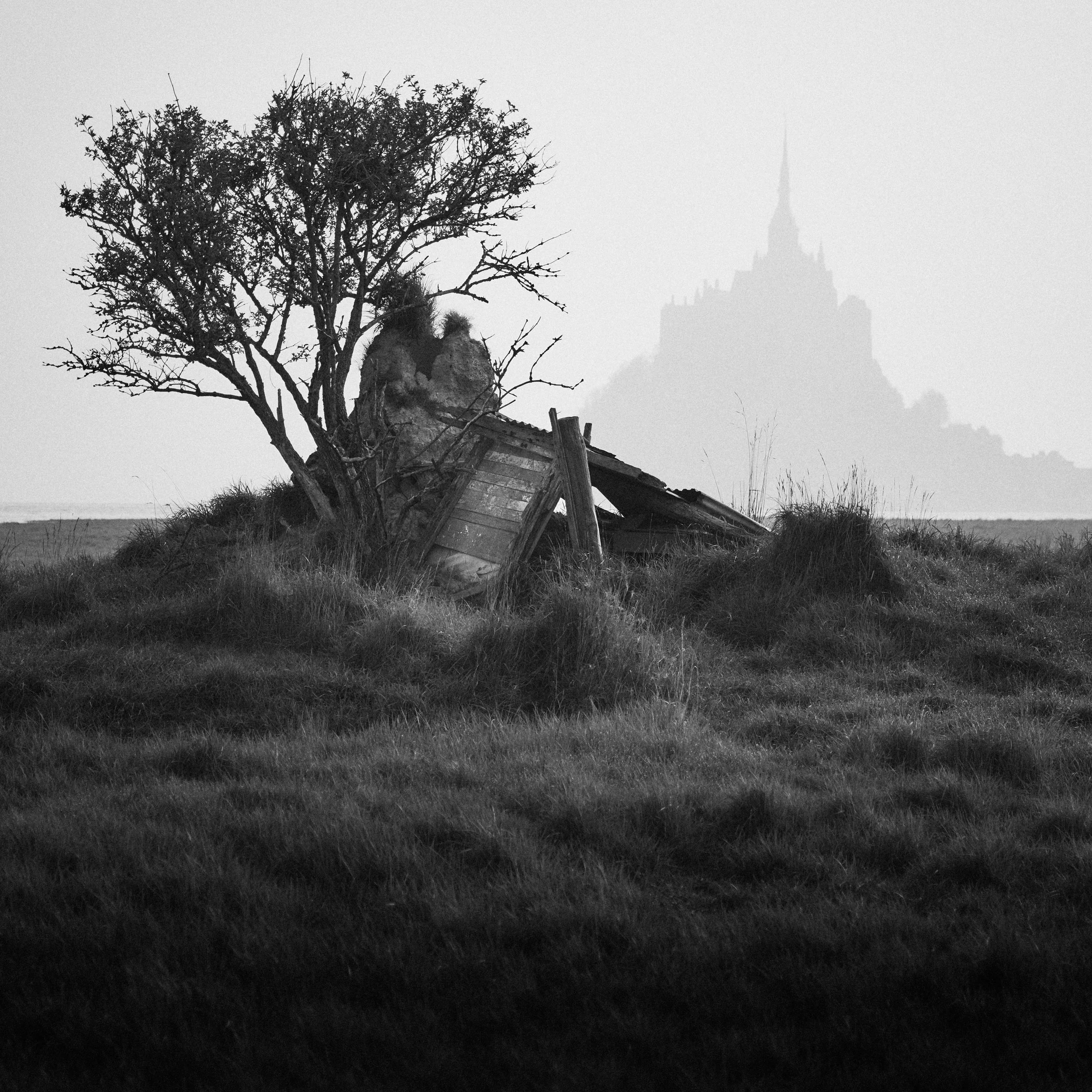 Mt St Michel II, mar.2026