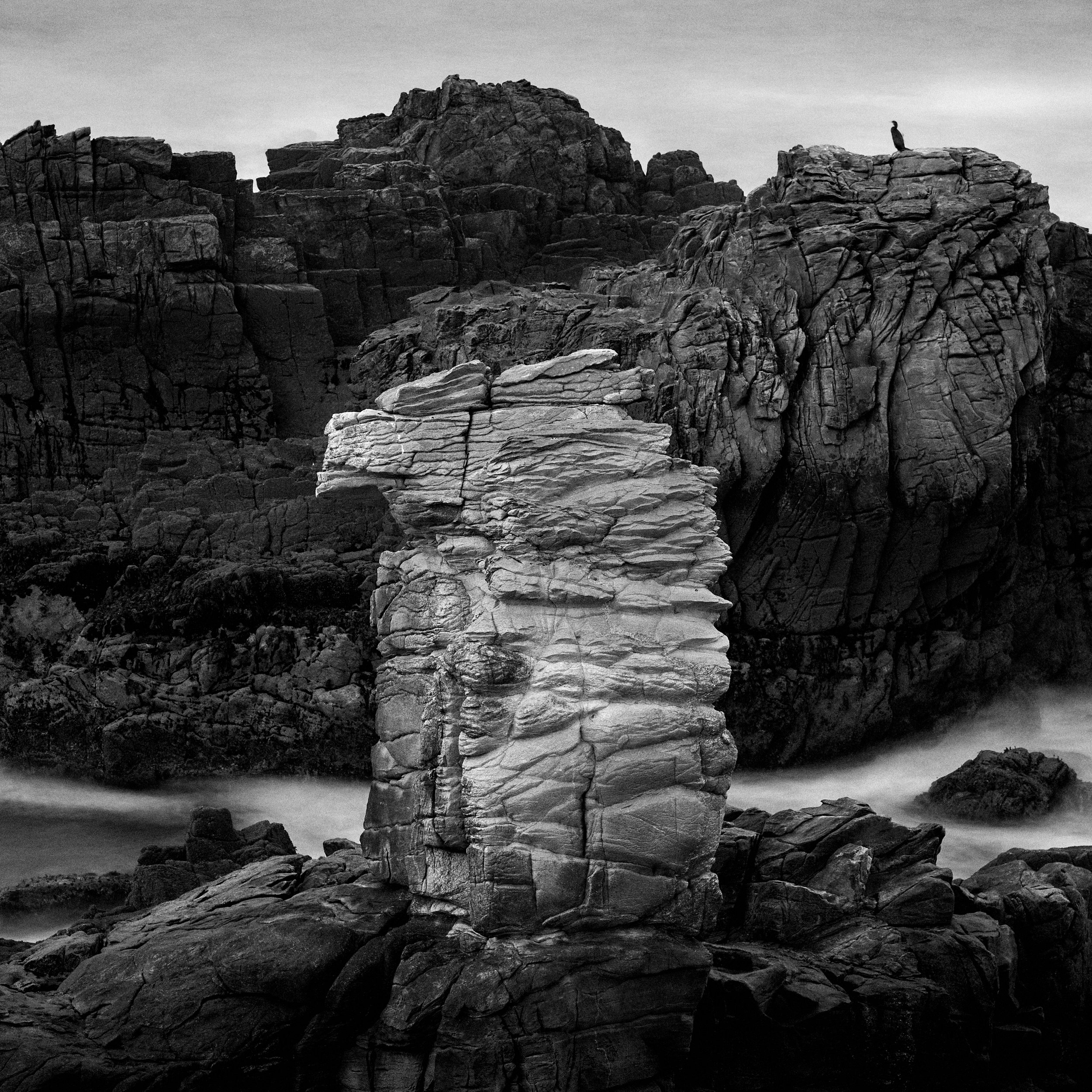Bird rock, Quiberon, oct. 2024