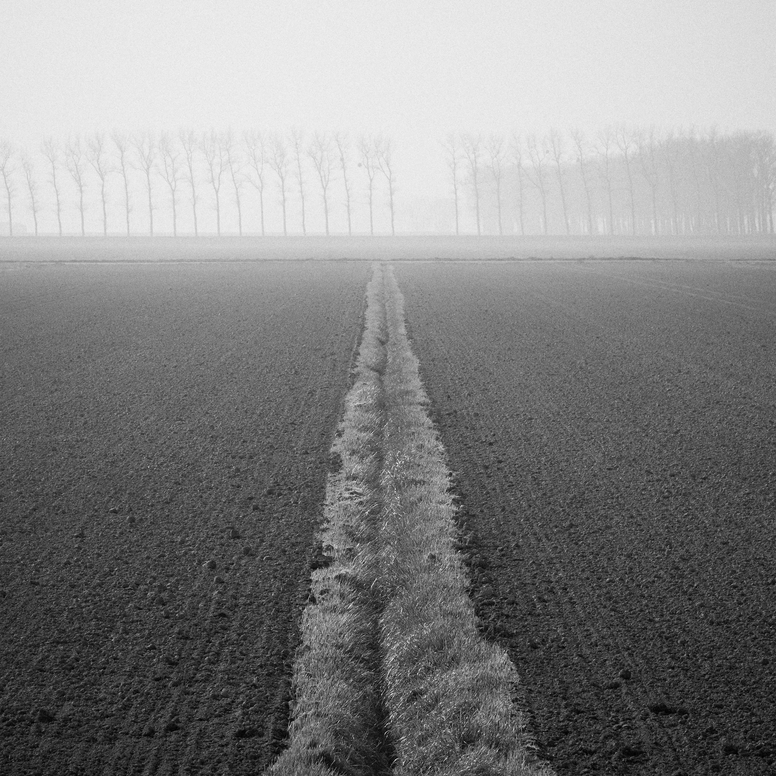 Polders, Mt St Michel, mar.2026