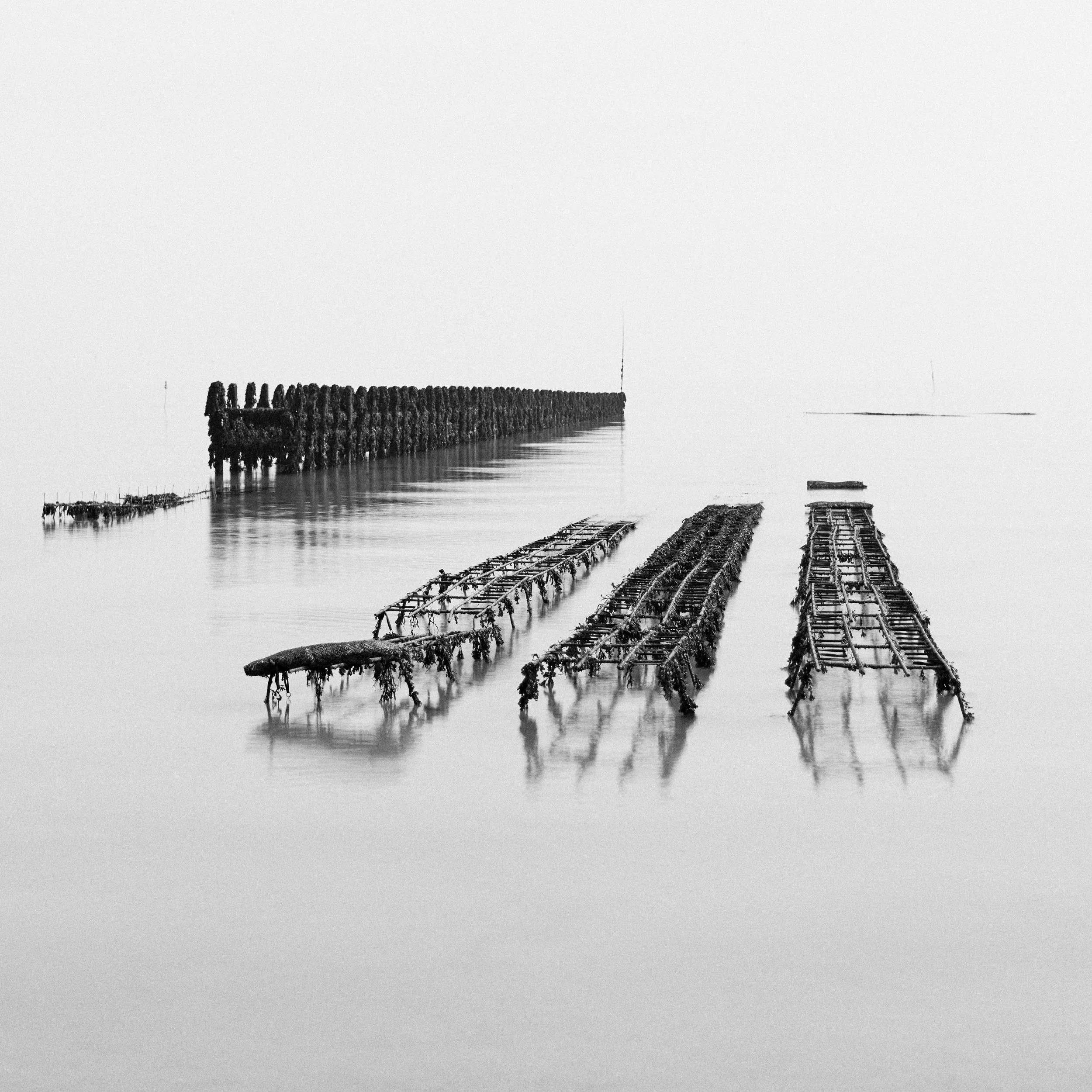 Oyster beds, Cancale, mar.2026