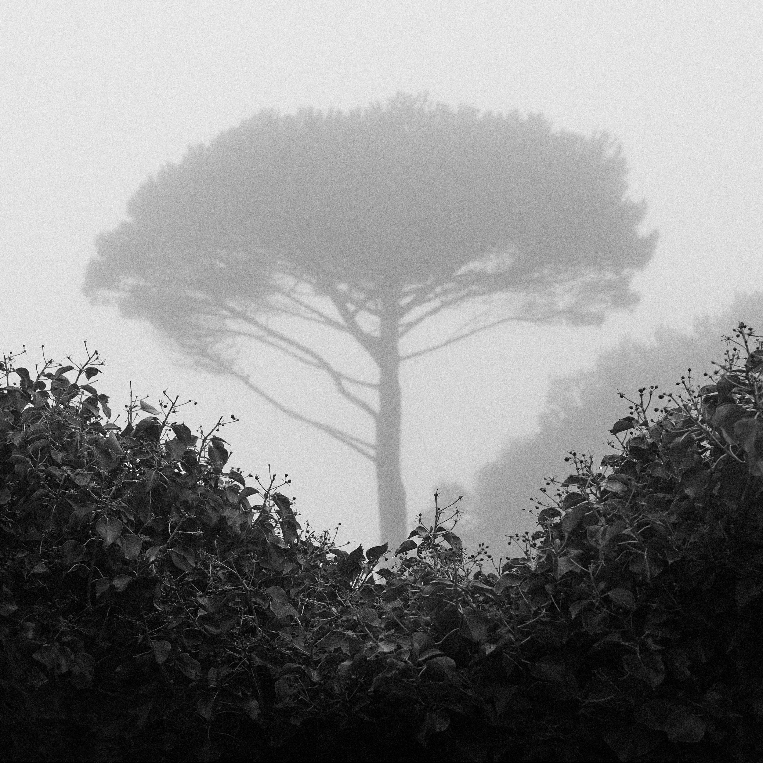 P1029149.jpg
