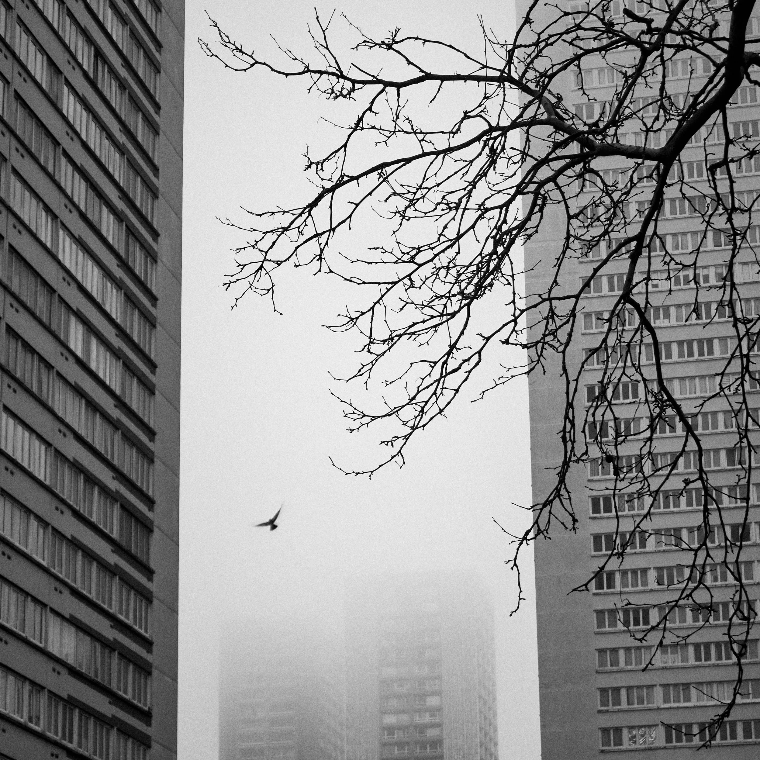 Porte de Choisy, Paris, feb. 2025