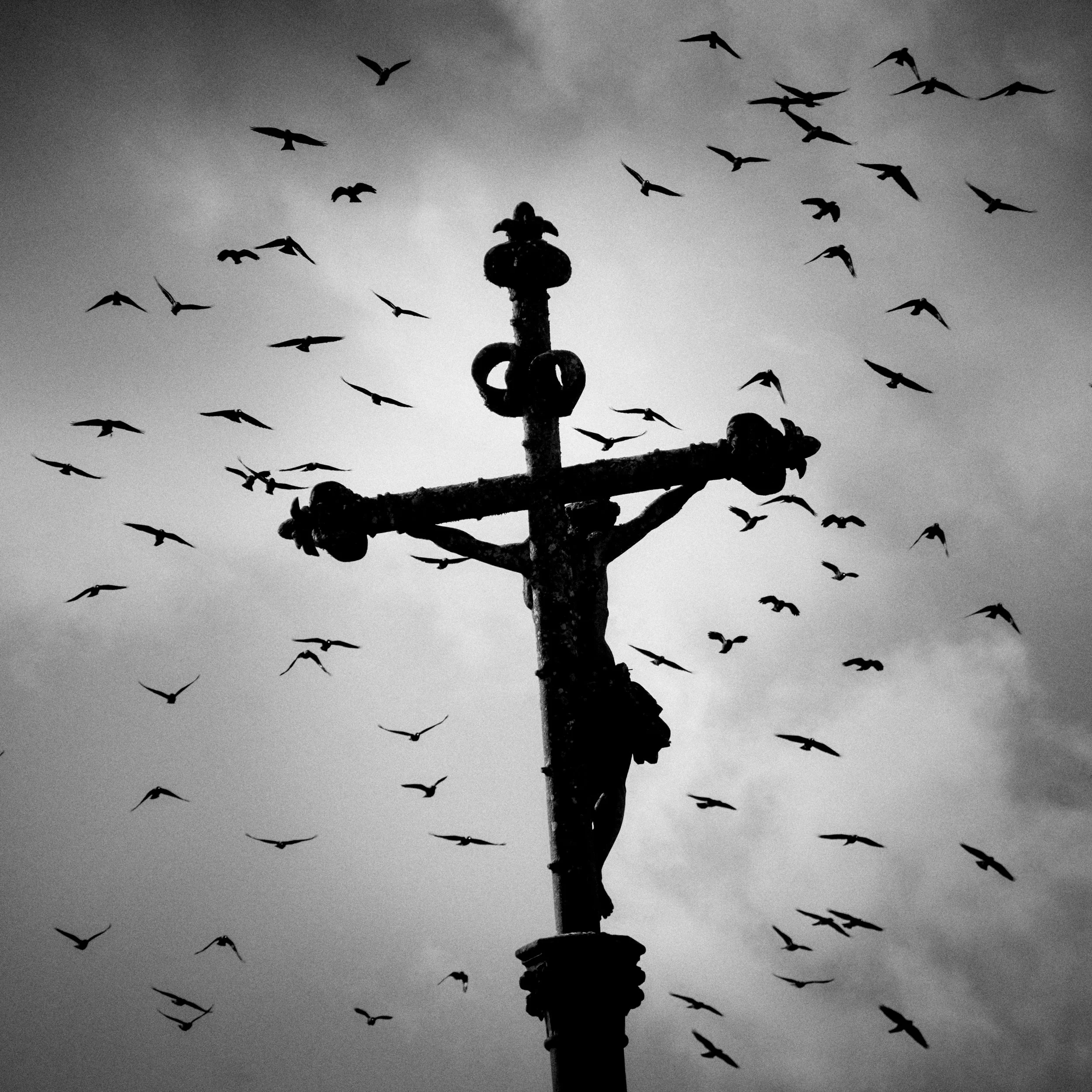 Cross and birds, Plogoff, oct. 2024