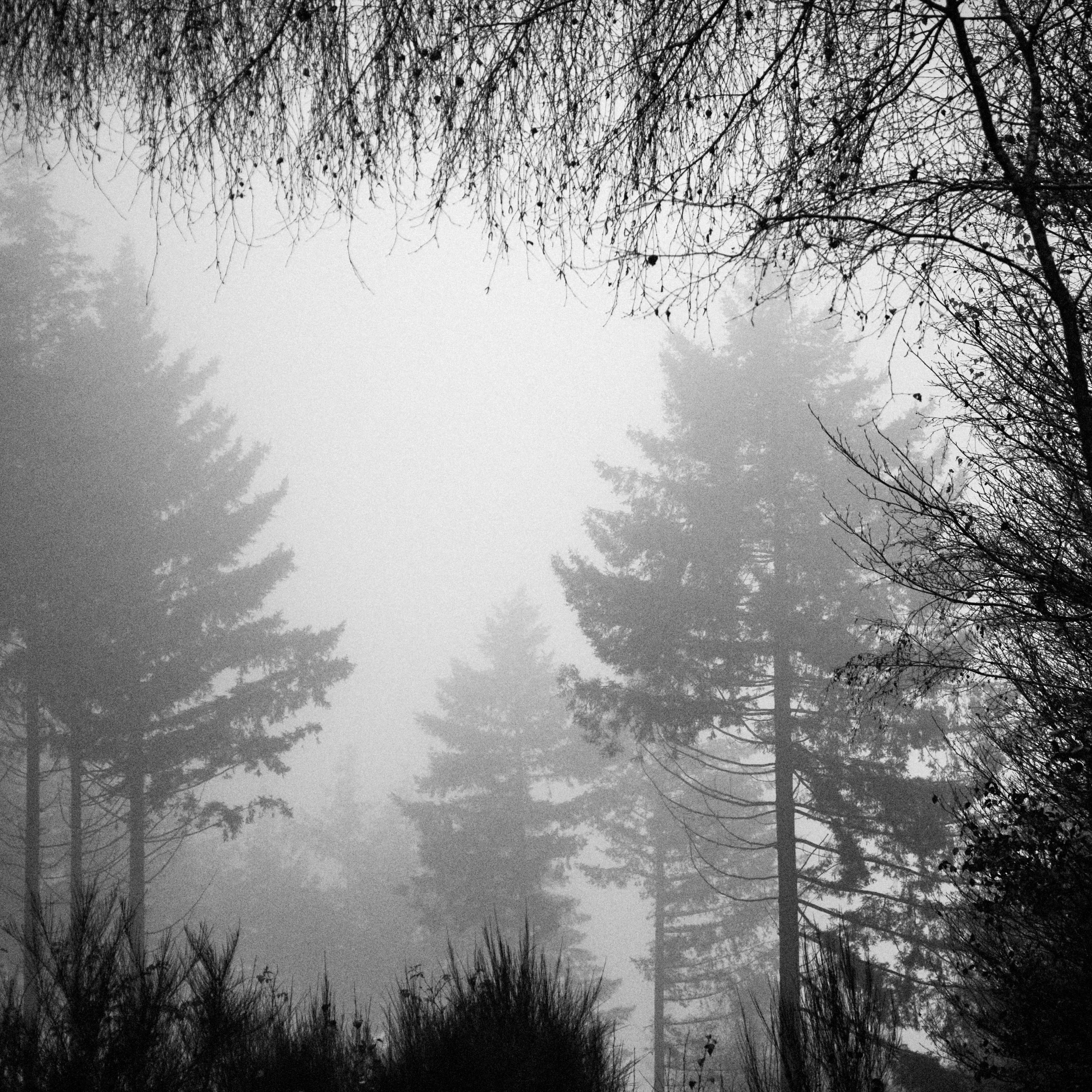 Through the curtain, Arlon, nov. 2024