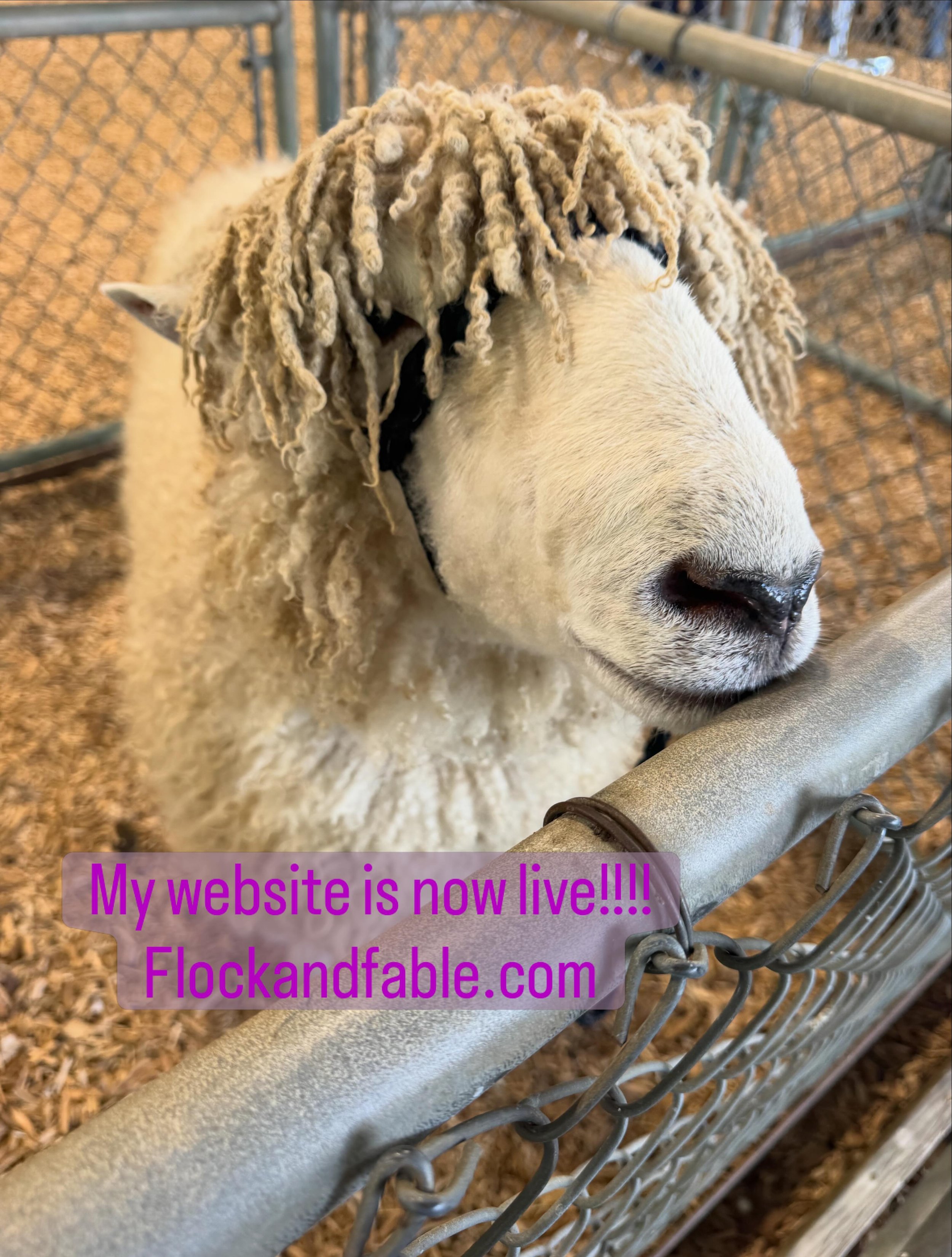Flock and Fable is now open for business! 
@_b_weaves did a beautiful job creating the website and I&rsquo;m so excited to have my Carolina produced yarn available😆😆

Flockandfable.com

#flockandfableyarns #carolinawool #naturalyarn #localwool