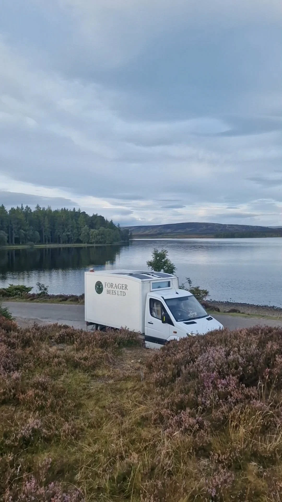 Honey Extraction Services