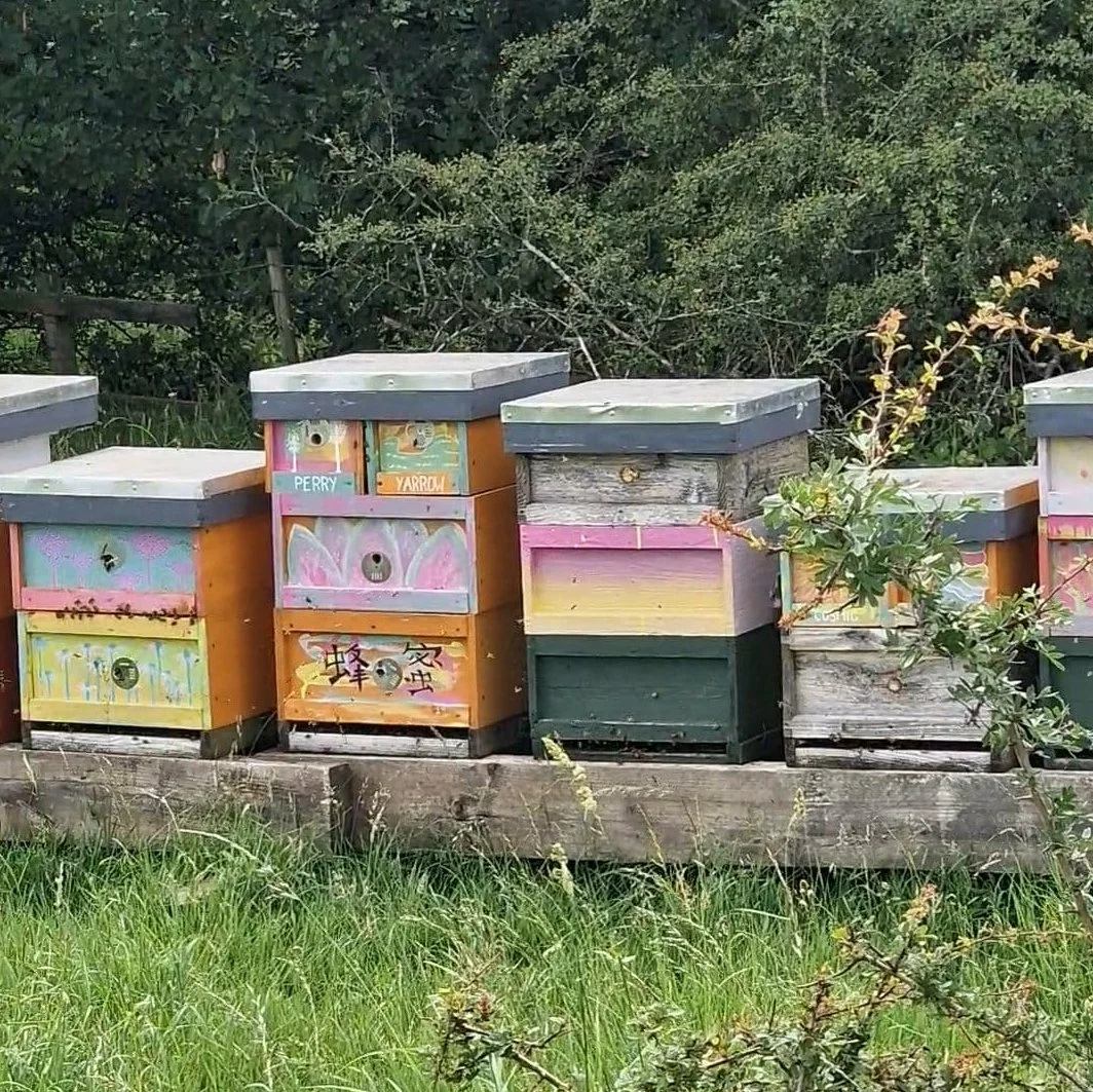 Hive
