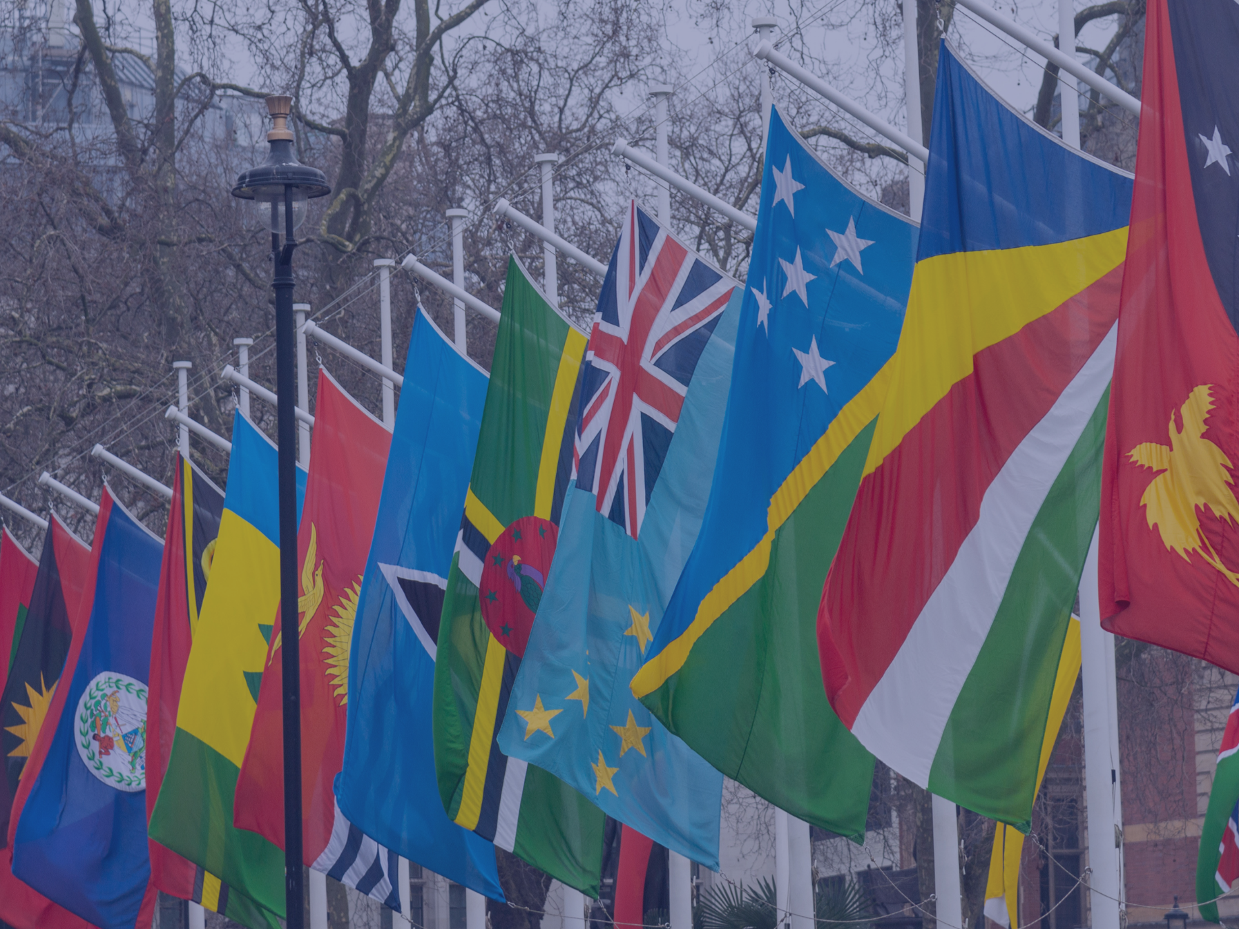 Applications welcome - Commonwealth Investment Network