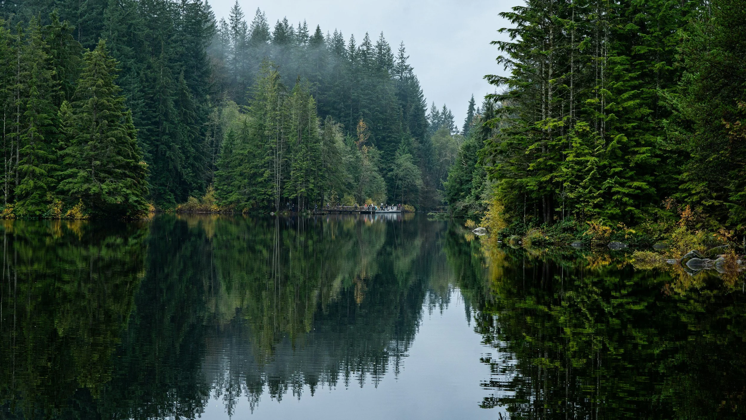 Forest landscape with calm water and trees, symbolizing stillness and reflection