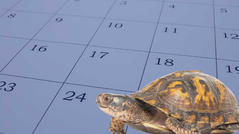 State Test Results Are Too Damn Slow