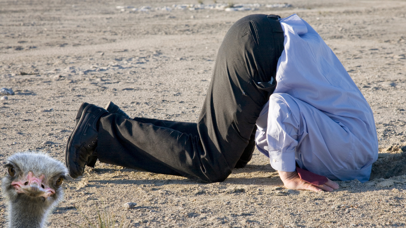 Head in the Sand