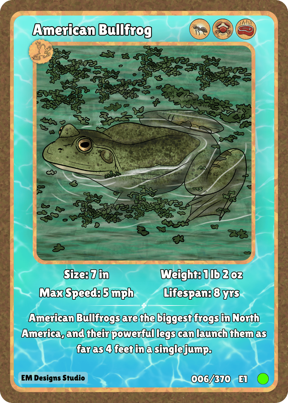 American Bullfrog.png