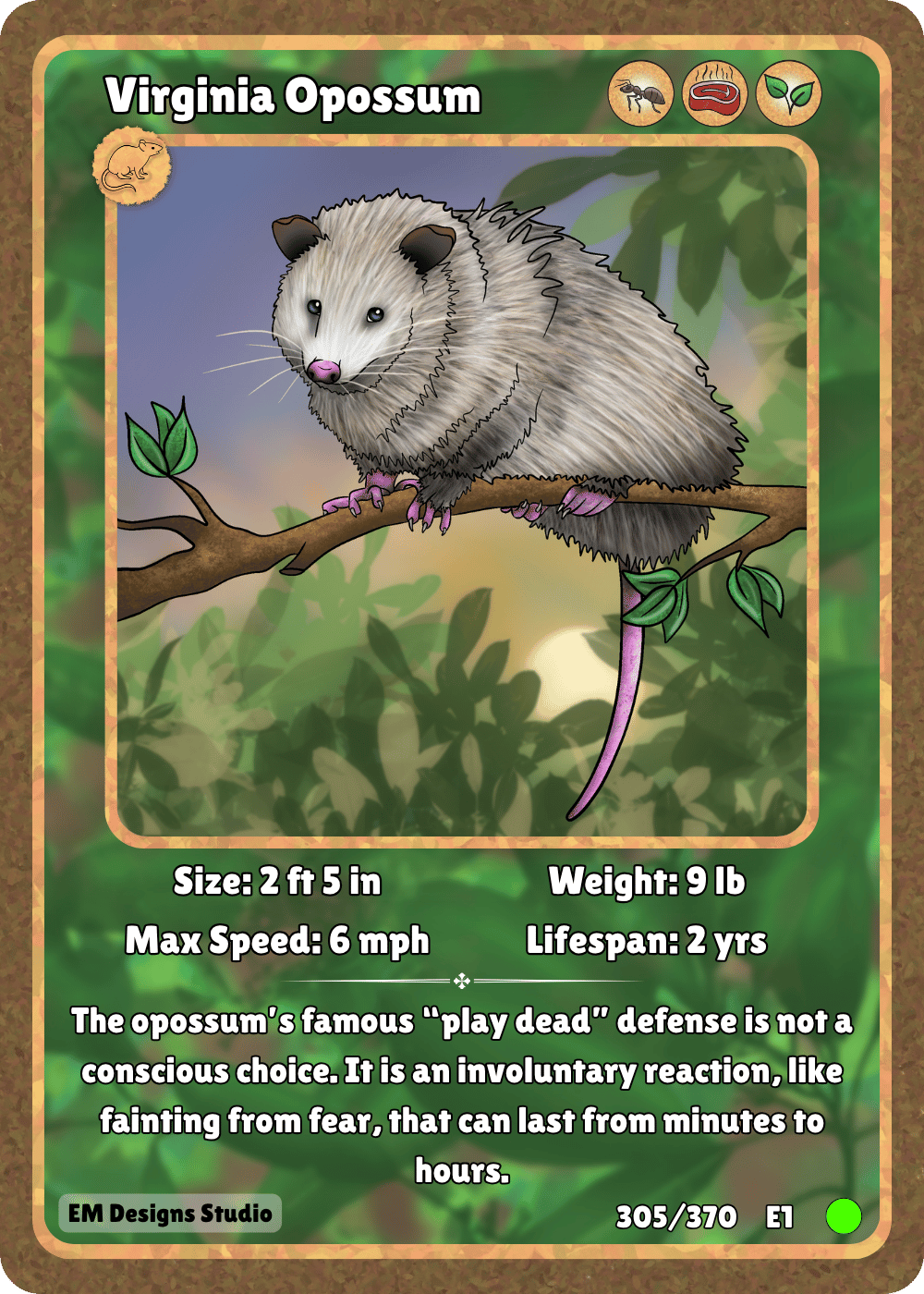 Virginia Opossum.png