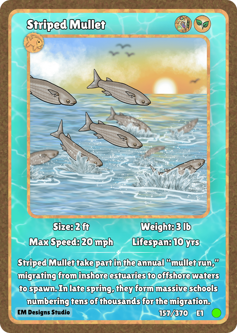 Striped Mullet.png