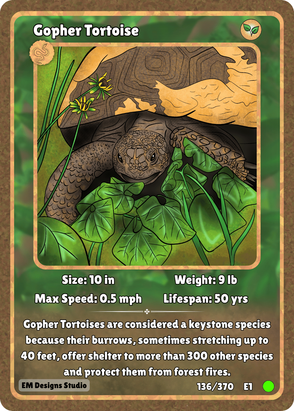 Gopher Tortoise.png
