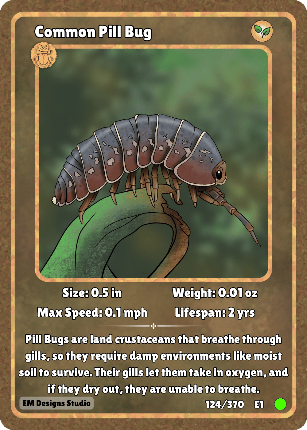 Common Pill Bug.png