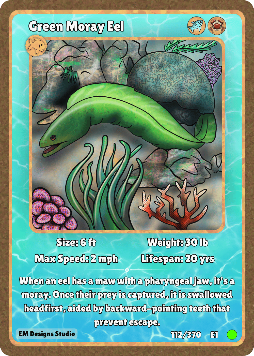 Green Moray Eel.png