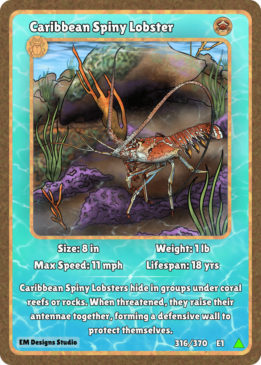Caribbean Spiny Lobster.png