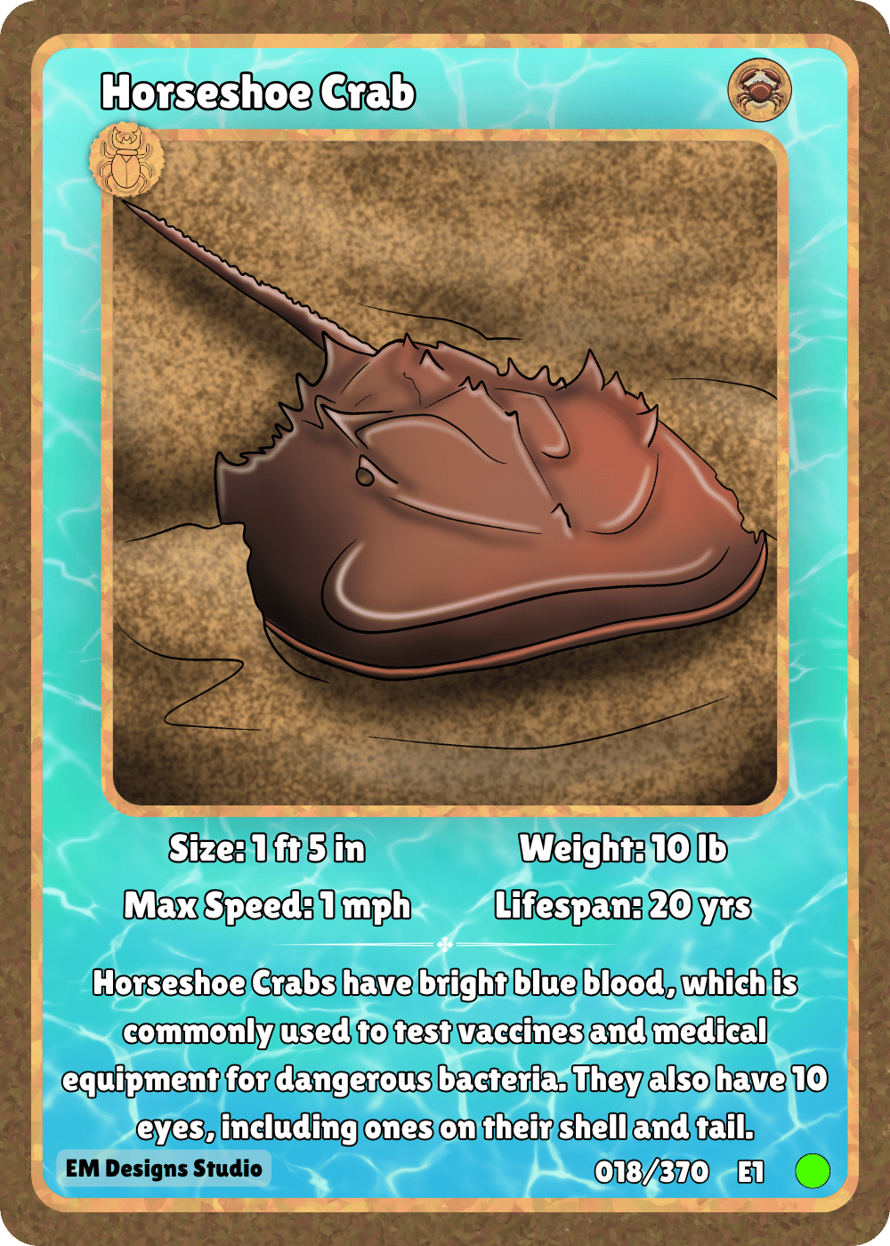 Horseshoe Crab.png