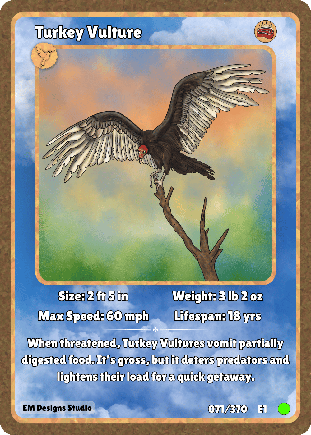 Turkey Vulture.png