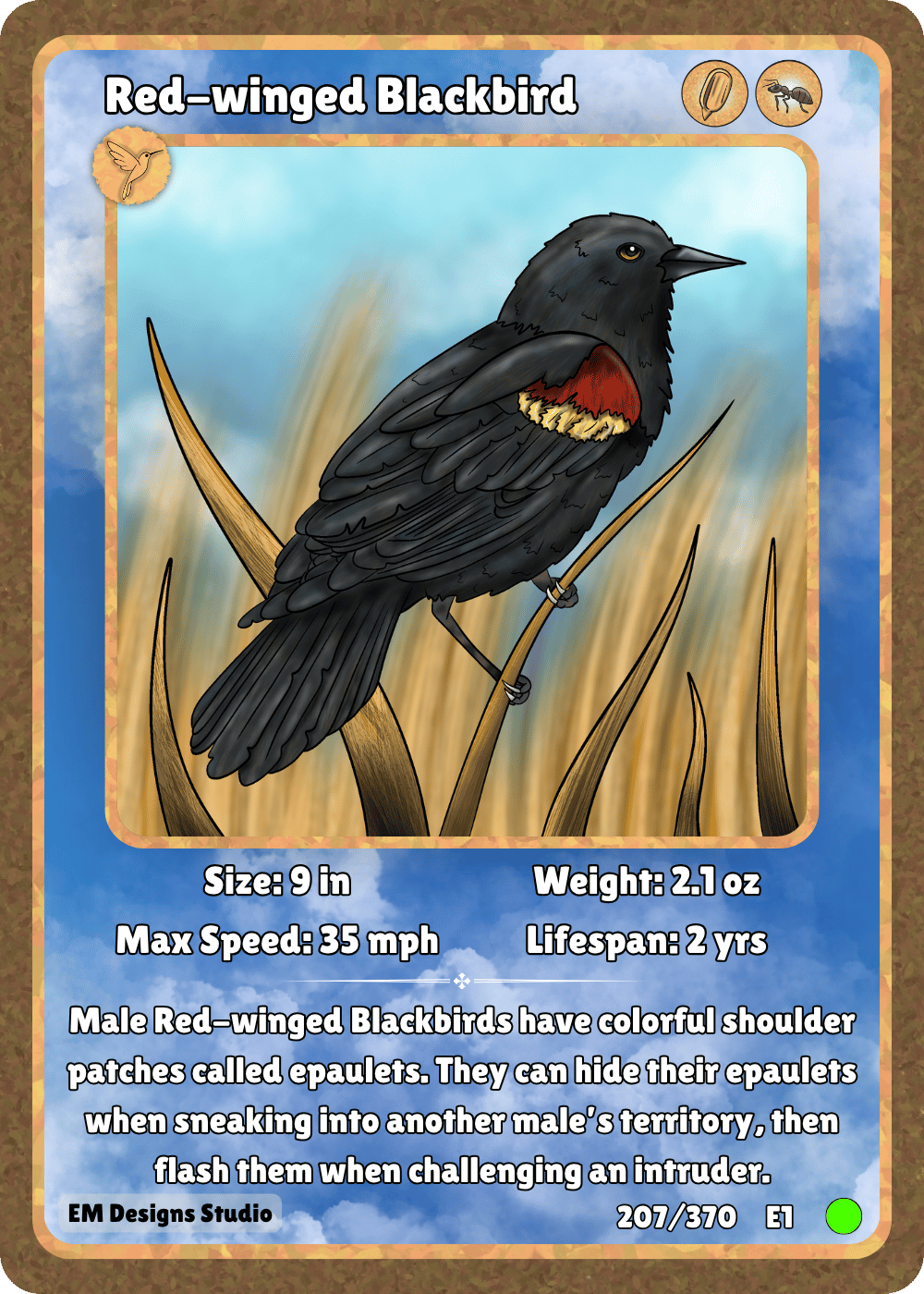 Red-winged Blackbird.png