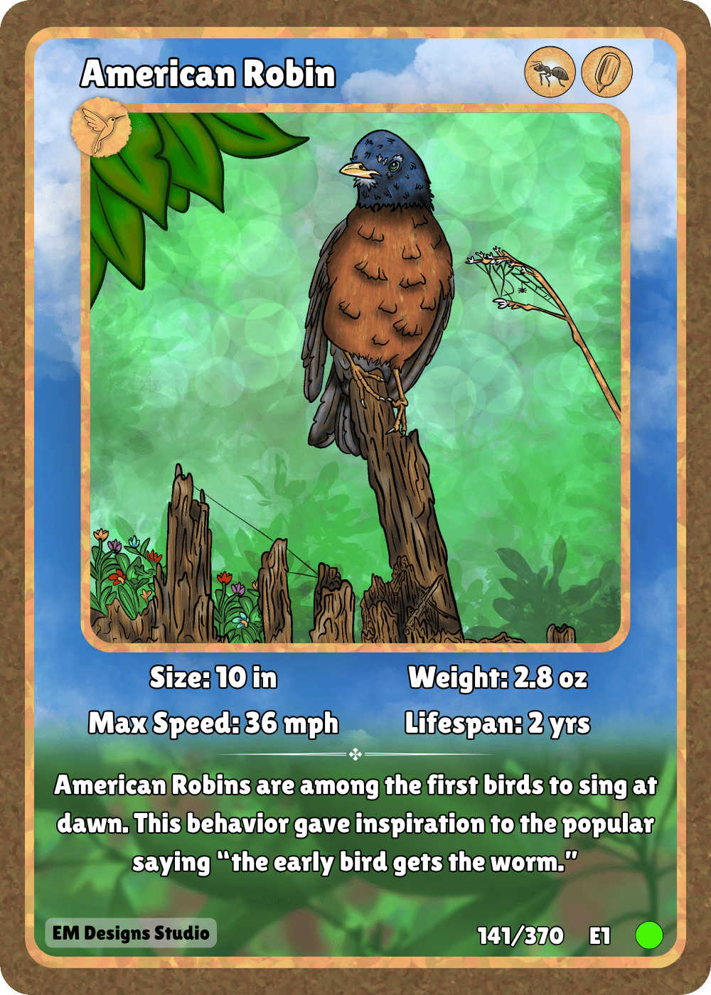 American Robin.png