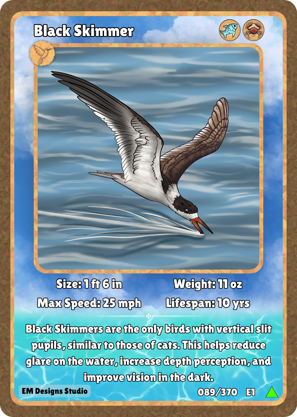 Black Skimmer.png