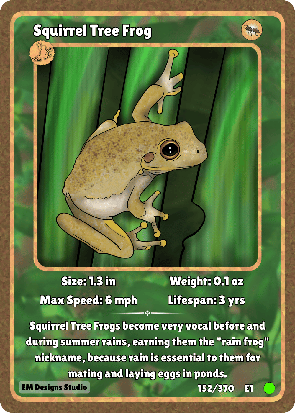 Squirrel Tree Frog.png