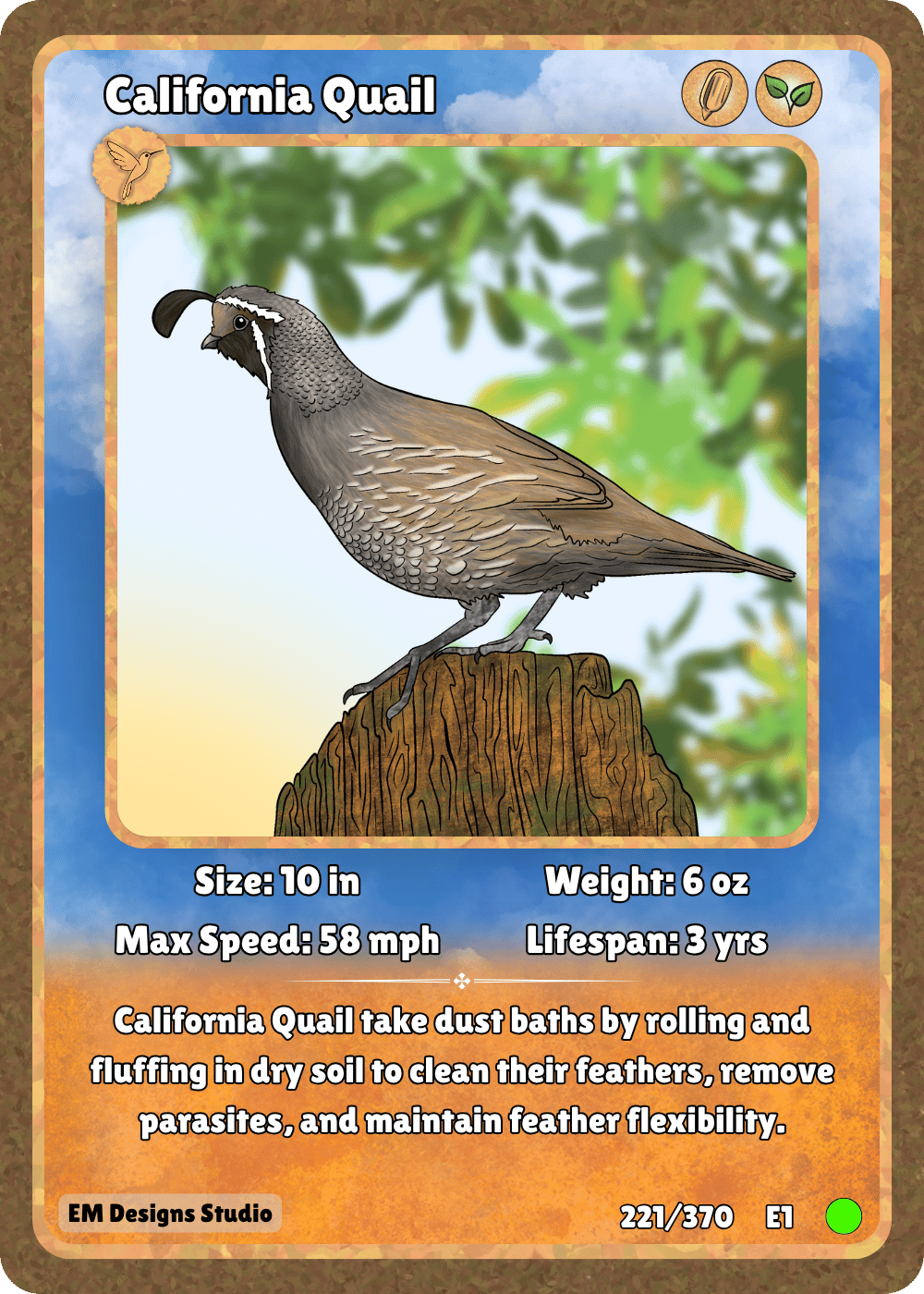 California Quail.png