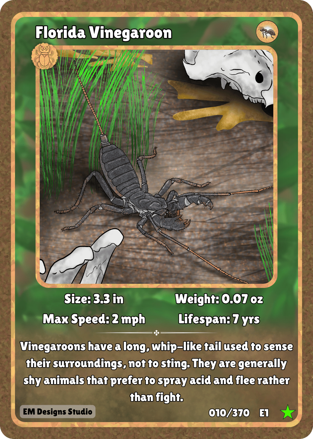 Giant Vinegaroon.png