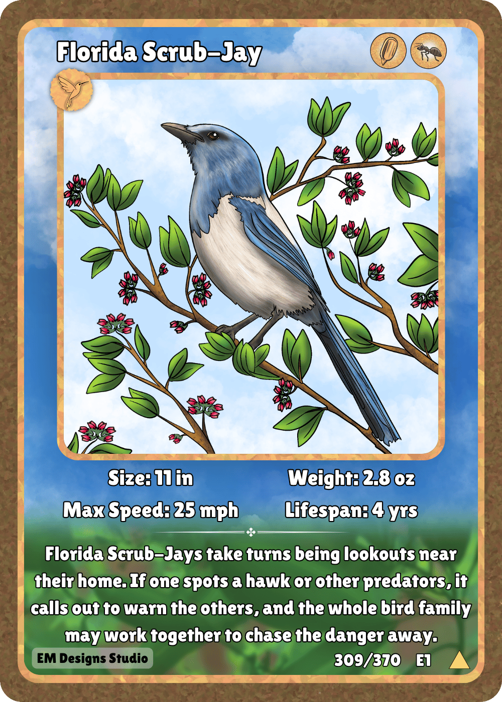 Florida Scrub-Jay.png