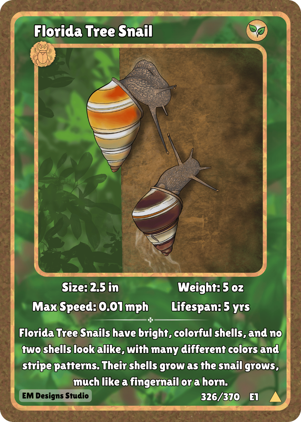 Florida Tree Snail.png