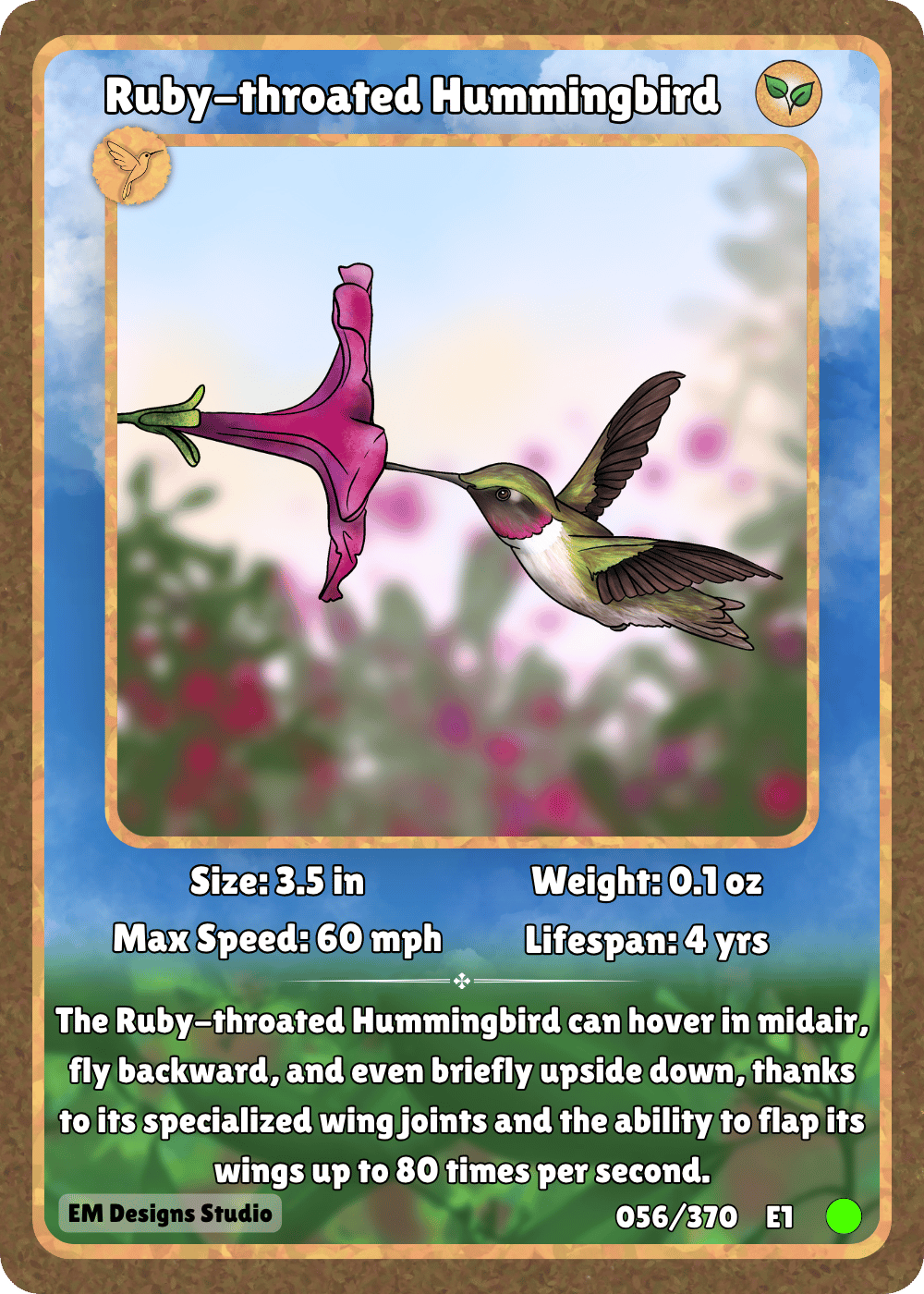 Ruby-throated Hummingbird.png