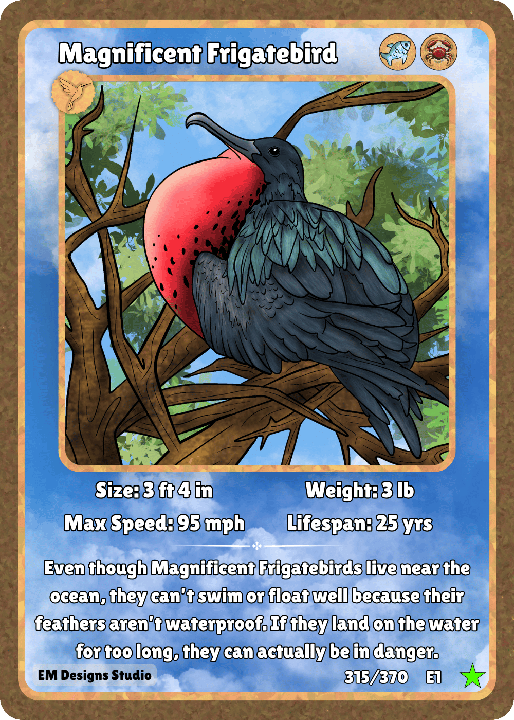 Magnificent Frigatebird.png
