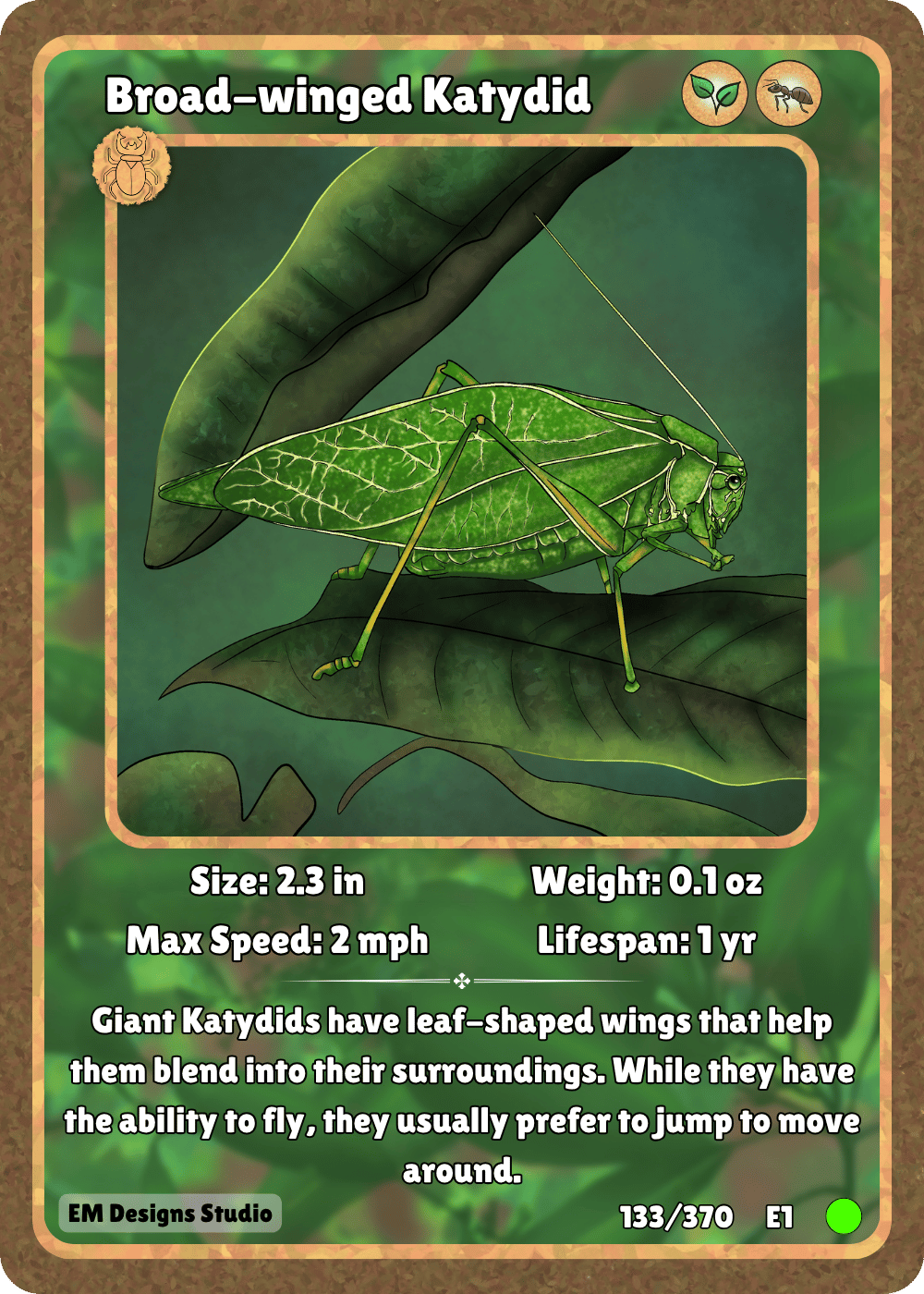 Broad-winged Katydid.png