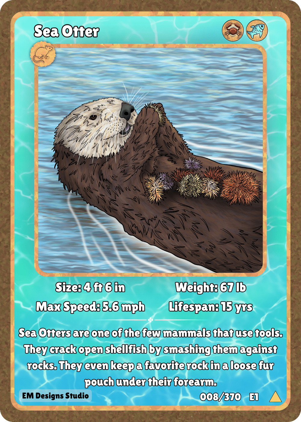 Sea Otter.png