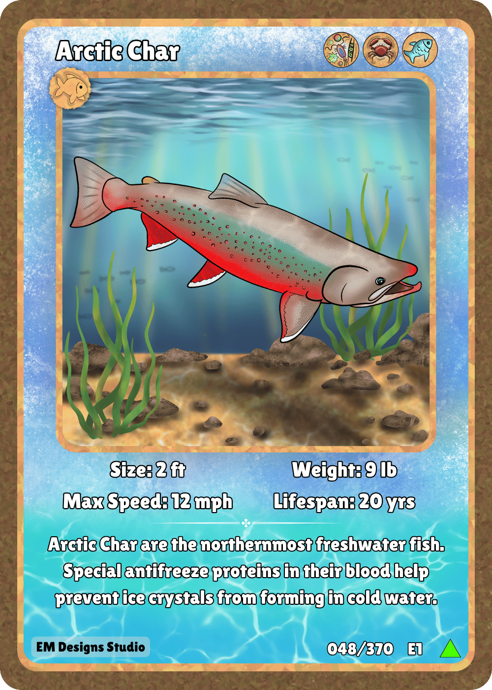 Arctic Char.png