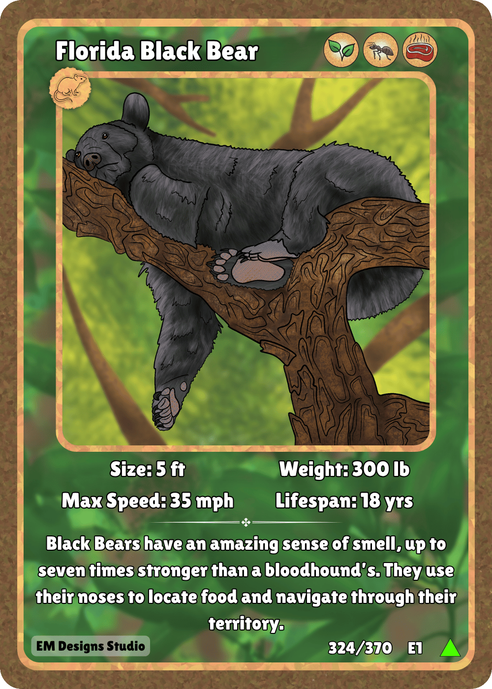 Florida Black Bear.png
