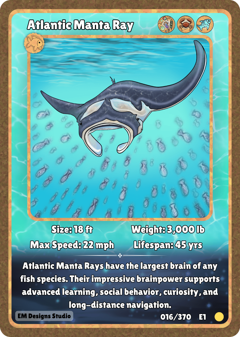 Atlantic Manta Ray.png