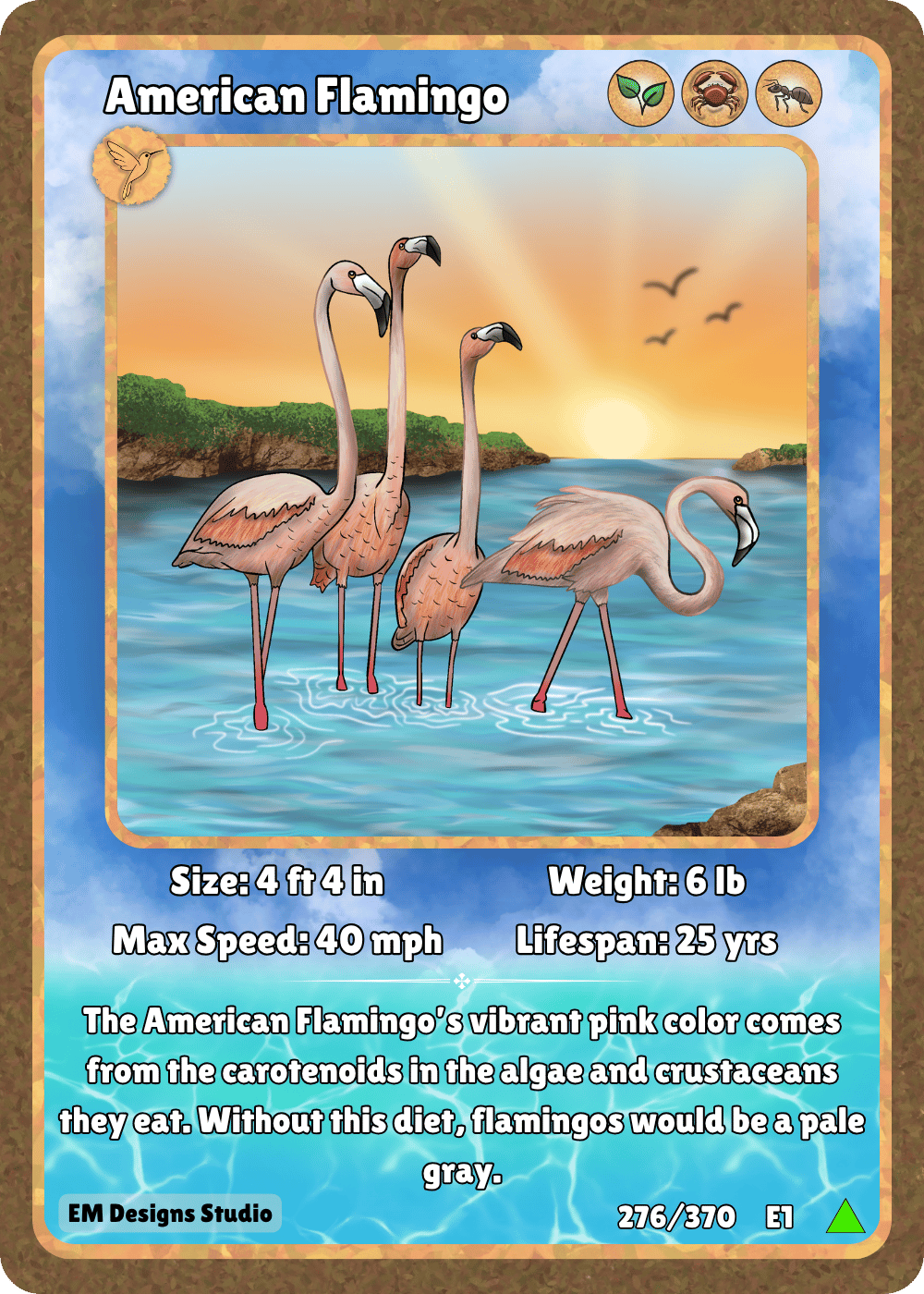 American Flamingo.png