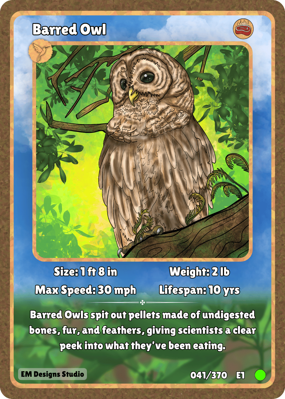 Barred Owl.png