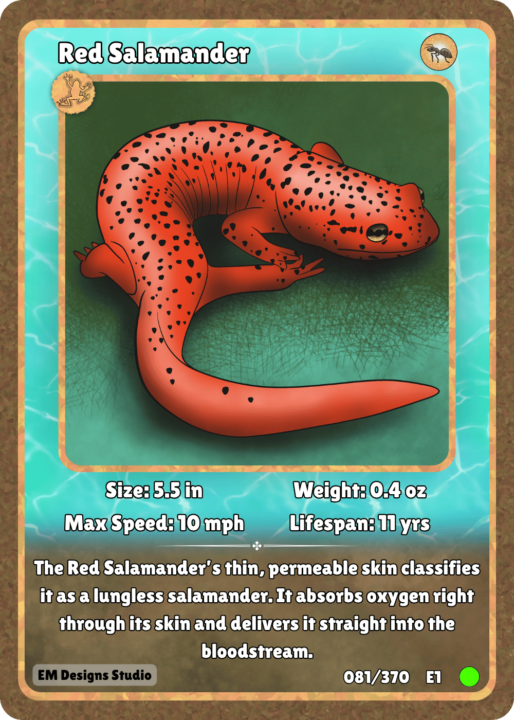 Red Salamander.png